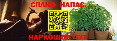 мяу мяу мука Кунгур