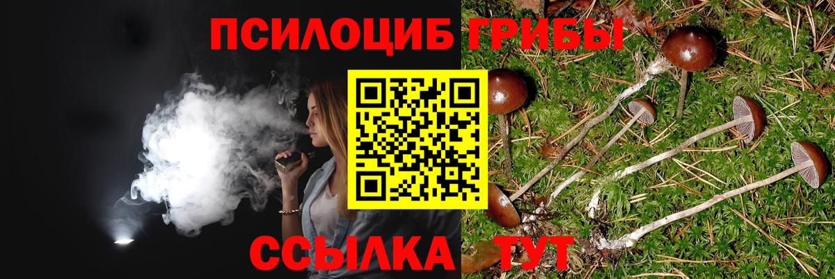 Клинцы  где найти наркотики  Вход с VPN  Галлюциногенные грибы GOLDEN TEACHER 